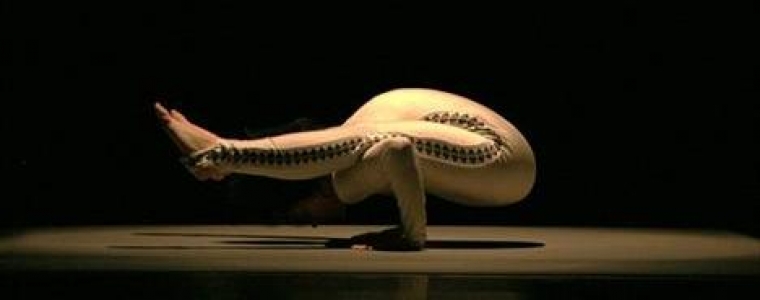 Prilike i iskustva cirkusa