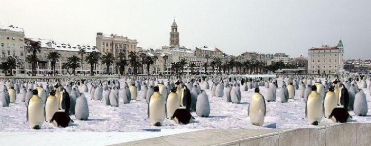 Sine mili, šta je upeklo!