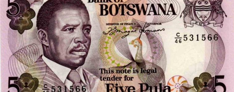 Kvizanje: Plavca bez nagrade