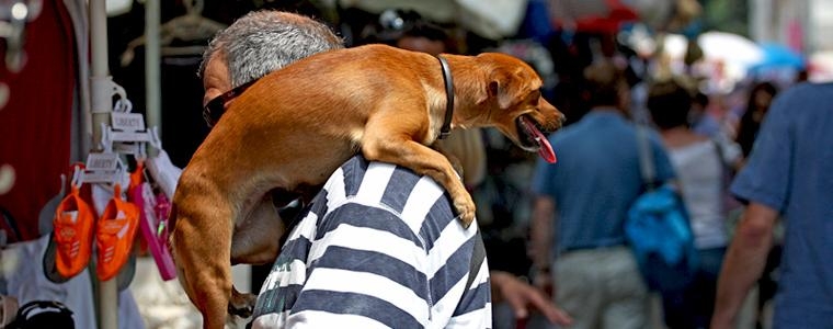 Pasa priko ramena pa u đir