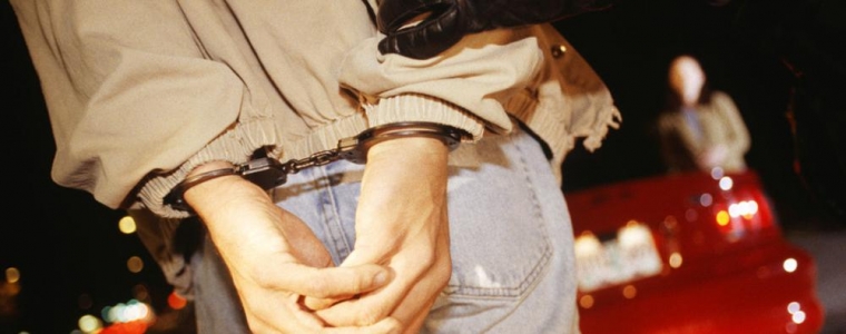 Zubić vila u pritvoru