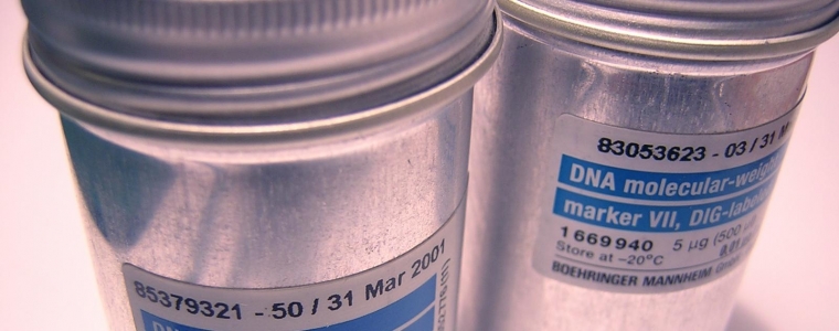 DNA izgubljen u prijevodu