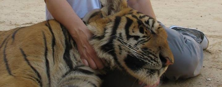 Brutalno bučni turizam Indokine