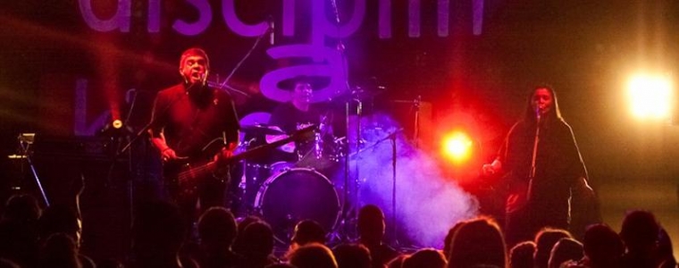 Samo Disciplina u Quasiju