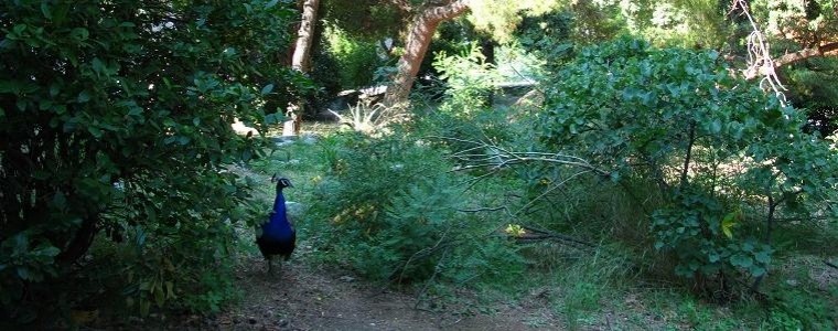 Čarobni trenuci grada