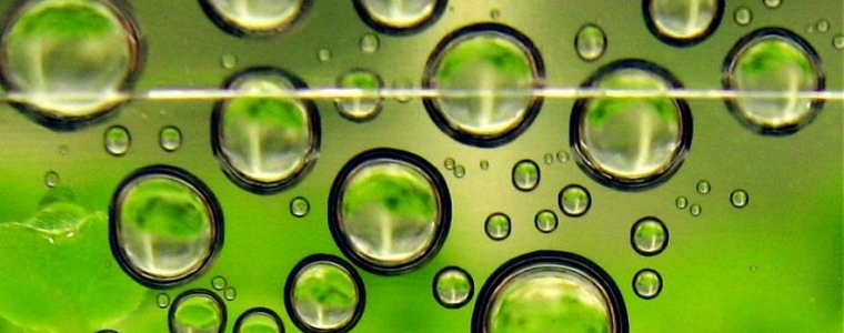 Projektni laboratorij: Erasmus+