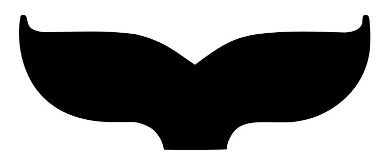 Počele prijave za STFF