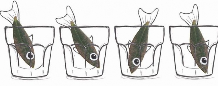 Porin i na peškariji