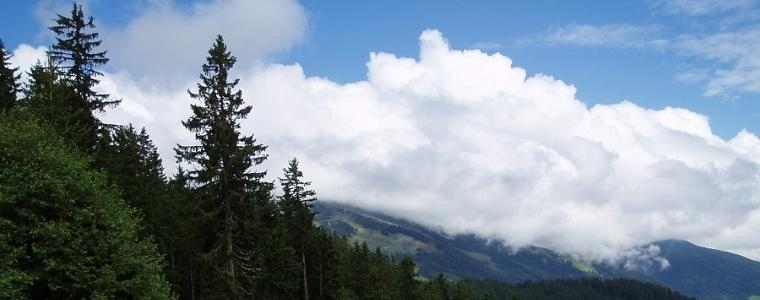 U Austriji o odrastanju