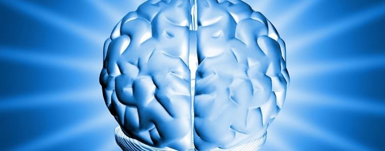 Tjedan mozga u Splitu