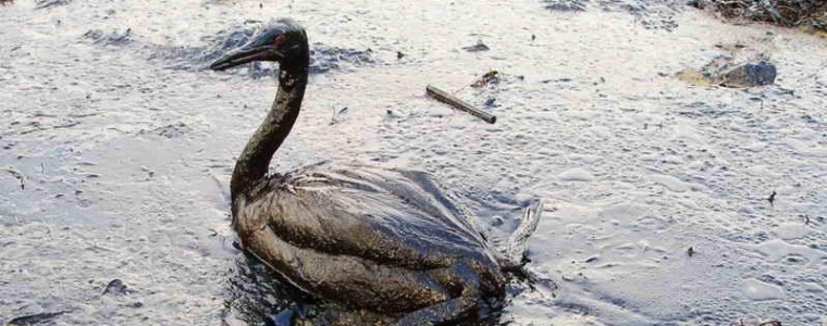 Nafta u sumrak nafte