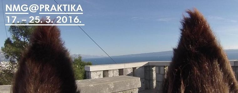 Magarac umjetnik u Domu