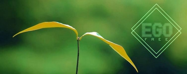 Prvi splitski EgoFree!