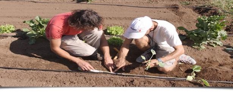 Volontiraj u Italiji godinu dana