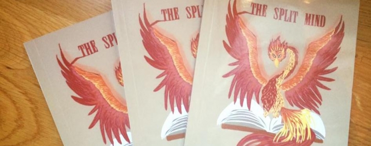 Piši za The Split Mind