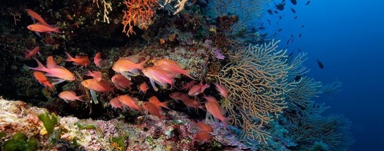 Sunce zna kako zaštititi more