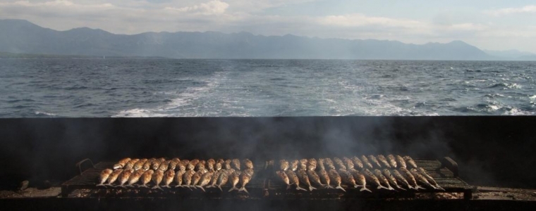 Tonći Gaćina i apsurdi turizma