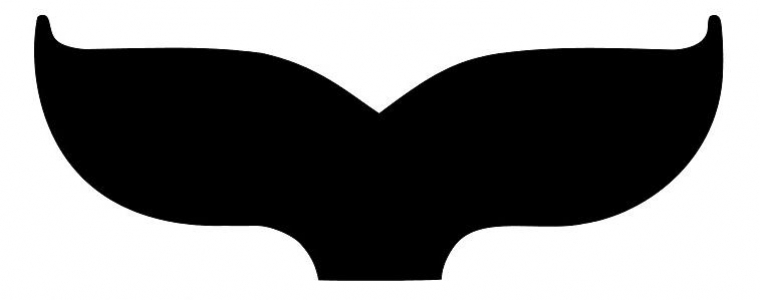 U Ljetnom kinu uvertira STFF-u