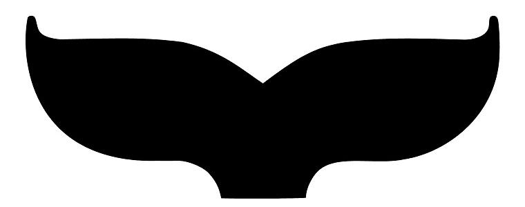 21. STFF: 9 dana novog filma