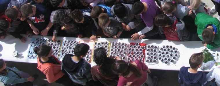 Natječaj: Naš doprinos zajednici