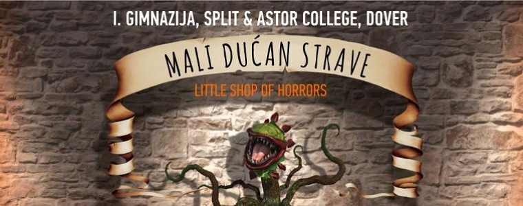 Mali dućan strave - veliki hit