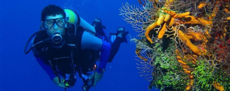 Zaroni u Tjedan otvorenih ventila