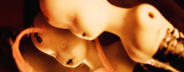 Koliko mediji utječu na tijelo?