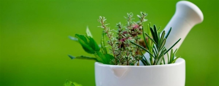 Prijavi se na Biljoteku u Zoni!