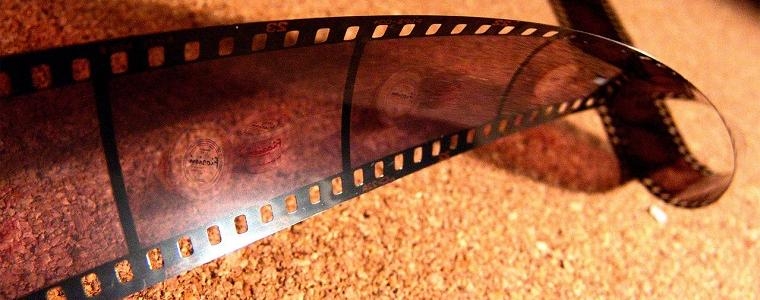 Mladi filmofili u Puli