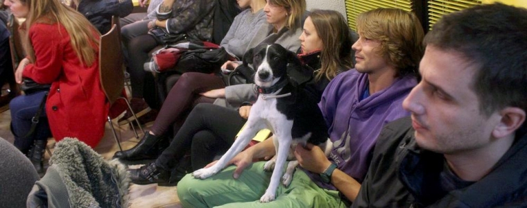 Program u šestom: Šest za kraj!