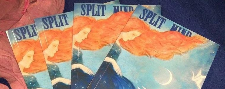 The Split Mind traži autore