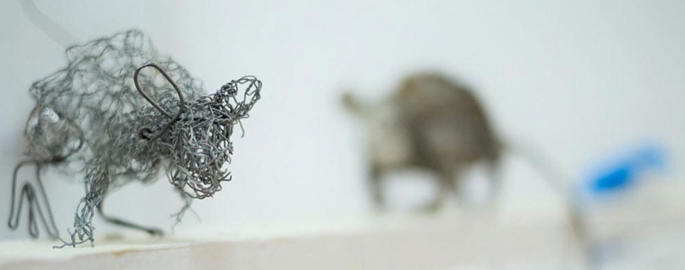 Izložba miševa na Šperunu