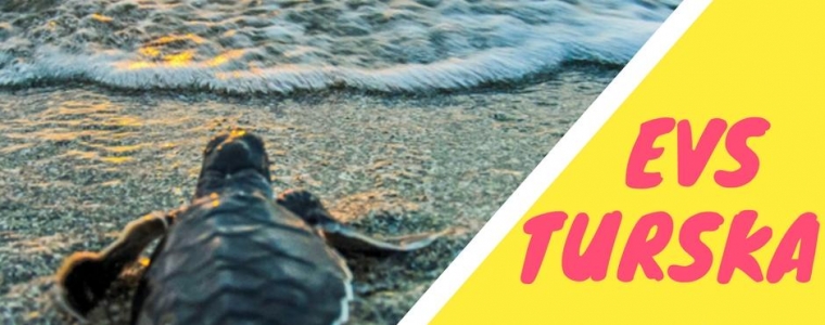 EVS u Turskoj