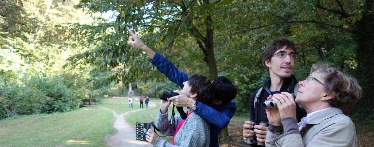 Promatranje ptica na Marjanu