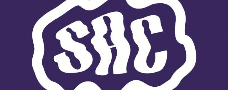 Split Art Convention