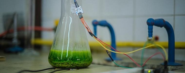 Device_art u Domu mladih