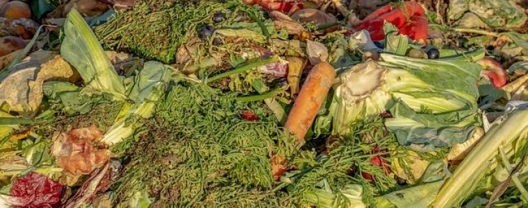 Tribina o kompostiranju