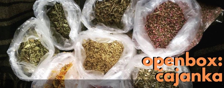 Udomi umjetničke radove uz čaj!