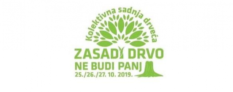 Zasadi drvo u Trogiru!