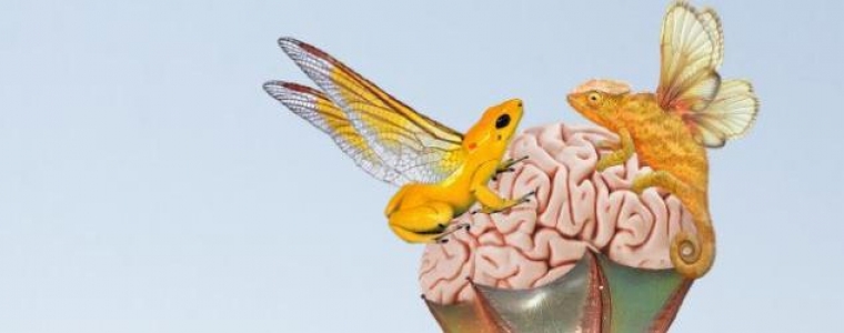  Životinja: drug ili drugi 