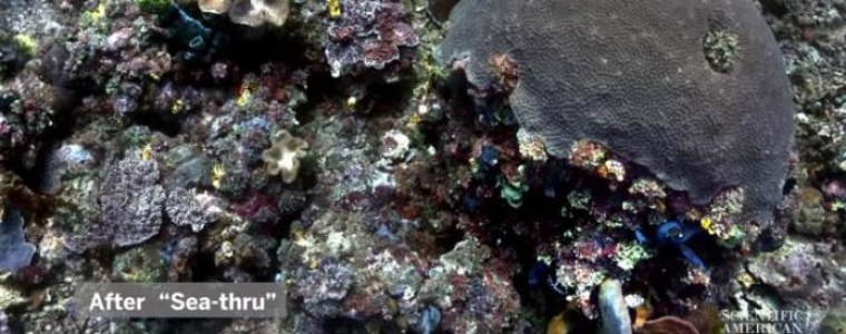 Stvarne boje svijeta pod morem