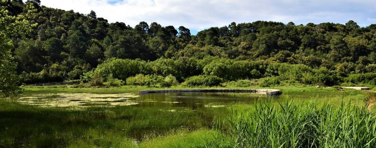 Očisti vlažna staništa na otoku!