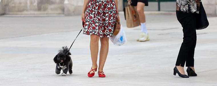 Kućni ljubimci i mentalno zdravlje