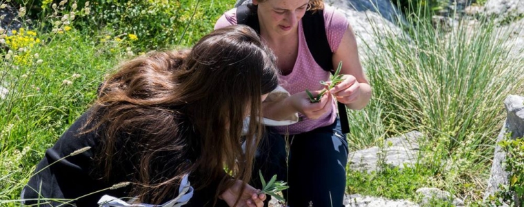 Radionica ljekovitog bilja