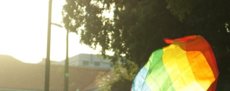 Upitnik o LGBTIQ+ u SDŽ