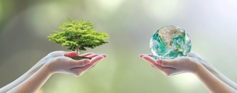 Zelena razmjena mladih