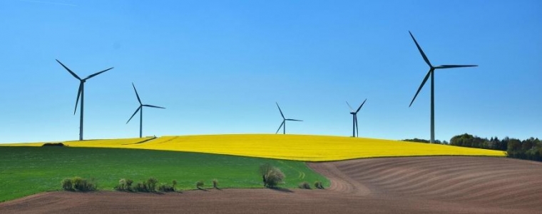 Crtež, gif, pjesma... Za 500 eura.