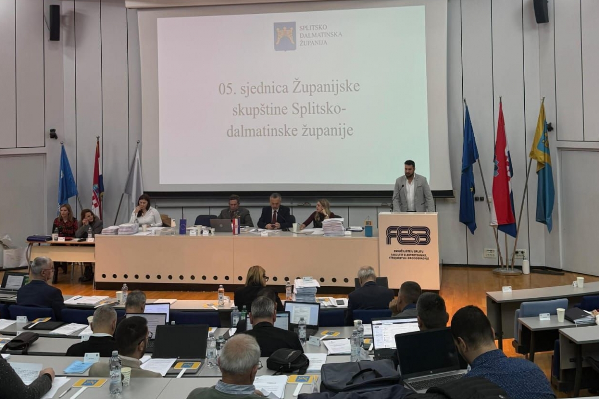 Savjet mladih SDŽ među prvima u Hrvatskoj usvojio program rada prema novim smjernicama