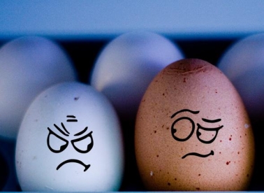 PRSP  - postreferendumski stres