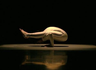 Prilike i iskustva cirkusa